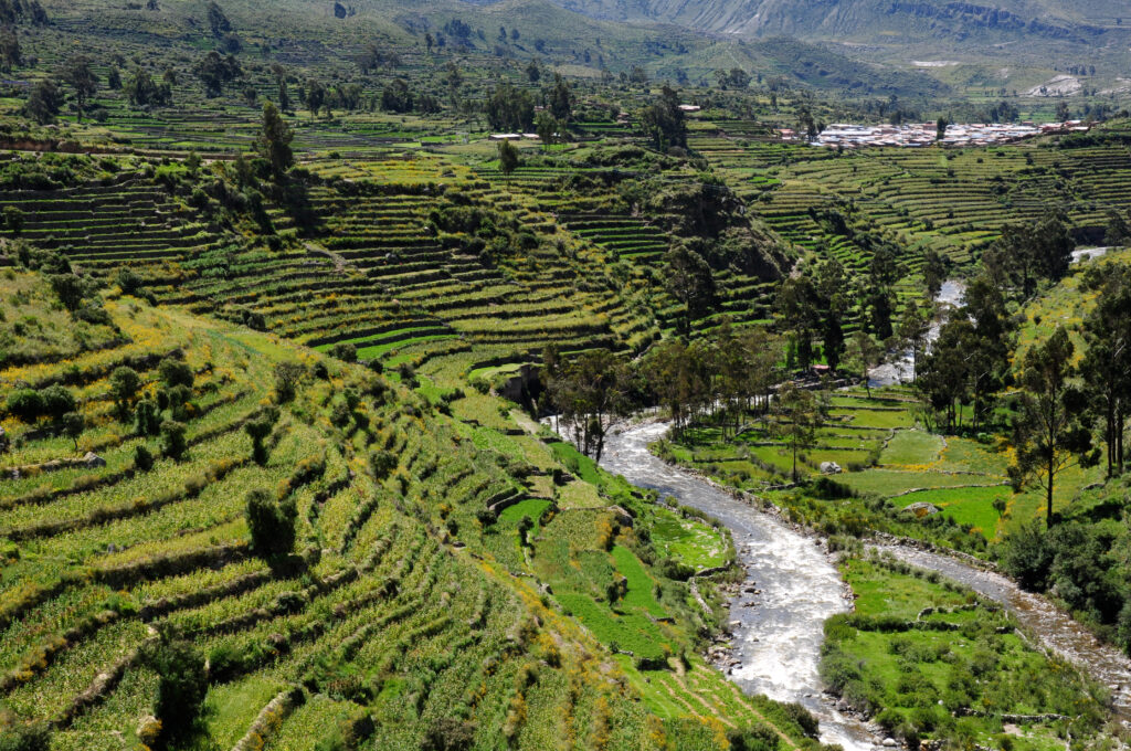 Agricultural terraces in the Andamarca valley, Ayacucho, Perú.